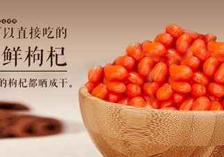 枸杞鮮果能吃嗎？鮮枸杞好還是干枸杞好