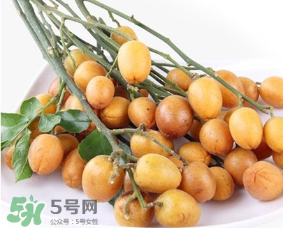 黃皮果是小金橘嗎？黃皮果和小金橘的區(qū)別