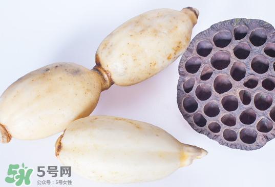 蓮蓬和蓮藕一樣嗎？蓮蓬和蓮藕的區(qū)別