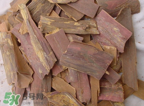 紅豆杉樹皮多少錢一斤？2017紅豆杉市場價