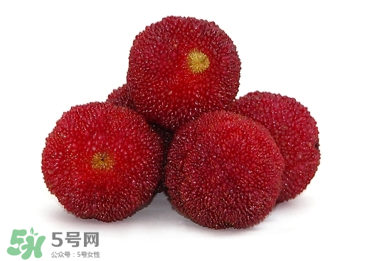 新鮮楊梅怎么保存得更長時(shí)間？新鮮楊梅能保存幾天？
