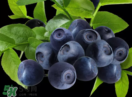 新鮮藍莓可以直接吃嗎？新鮮藍莓怎么吃才好吃？