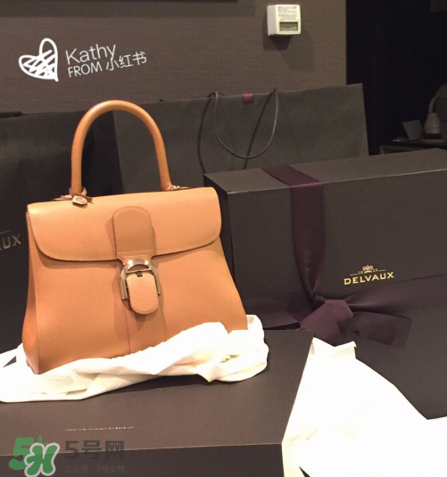delvaux brilliant多少錢？德爾沃brilliant包包專柜價格