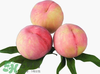 脆桃有什么營養(yǎng)？脆桃的營養(yǎng)價(jià)值