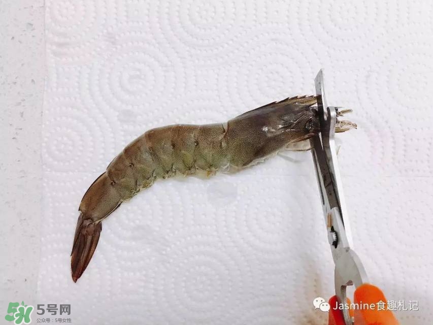 活基圍蝦怎么保存？活基圍蝦怎么處理干凈？