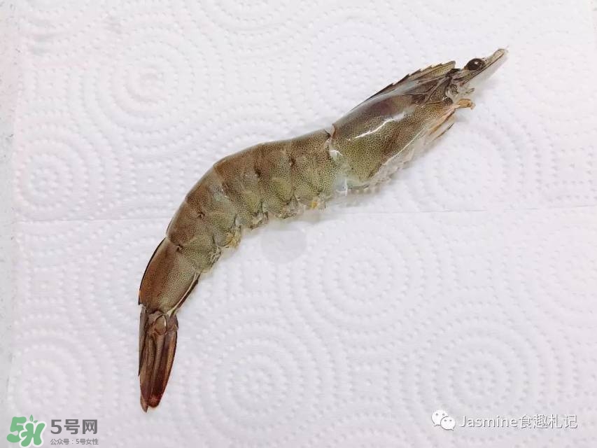 活基圍蝦怎么保存？活基圍蝦怎么處理干凈？