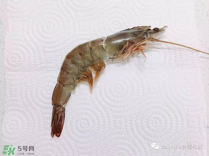 活基圍蝦怎么保存？活基圍蝦怎么處理干凈？