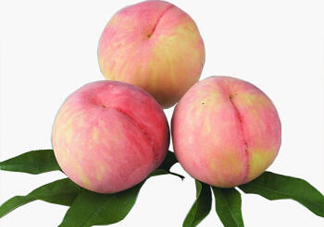 脆桃有什么營(yíng)養(yǎng)？脆桃的營(yíng)養(yǎng)價(jià)值