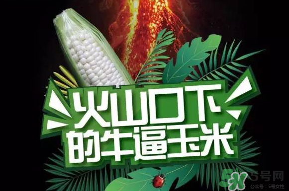 微玉冰糖玉米小孩可以吃嗎？微玉冰糖玉米營(yíng)養(yǎng)豐富嗎？