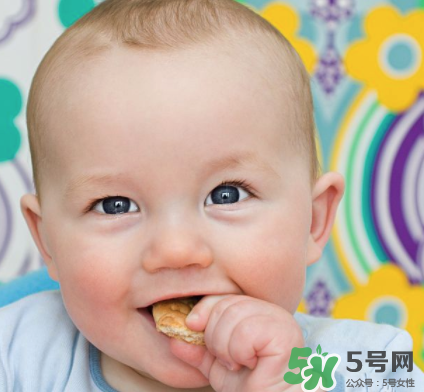 磨牙餅干吃不完怎么辦？磨牙餅干吃到多大？