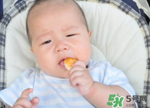 磨牙餅干吃不完怎么辦？磨牙餅干吃到多大？