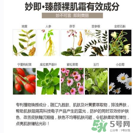 妙即素顏霜怎么樣？妙即素顏霜多少錢一盒？
