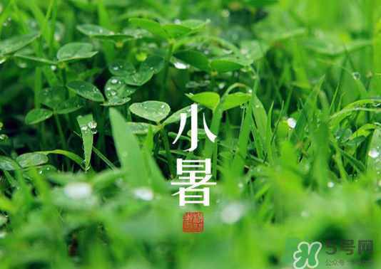 小暑種什么菜？小暑為什么要種牽?；ǎ?></p><p>番茄</p><p>如大番茄，櫻桃番茄。</p><p>黃圣果</p><p>在7月中至8月上旬用營養(yǎng)土播種育苗。播后加蓋遮陽網(wǎng)。</p><p>茄子</p><p>7月上中旬及時(shí)定植。</p><p>辣椒</p><p>辣椒于上中旬.在7月中旬至8月上旬用營養(yǎng)土播種、遮陽網(wǎng)覆蓋育苗。</p><p style=