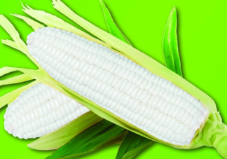白玉米煮后變黃能吃嗎？白玉米為什么變黃了？