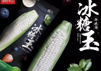 冰糖玉米?是轉(zhuǎn)基因嗎？冰糖玉米多少錢一斤？