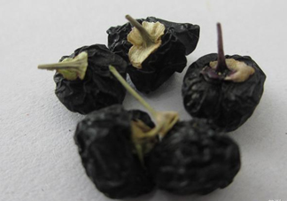 黑枸杞可以和菊花一起喝嗎？菊花和黑枸杞一起喝好嗎
