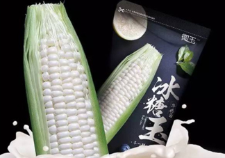 微玉冰糖玉米可以生吃嗎？微玉冰糖玉米安全嗎？
