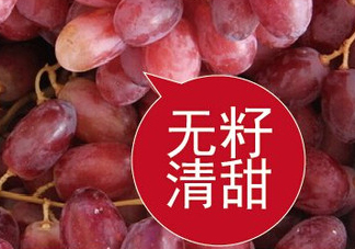 ?無籽紅提?孕婦能吃嗎吃嗎？孕婦能不能吃無籽紅提？