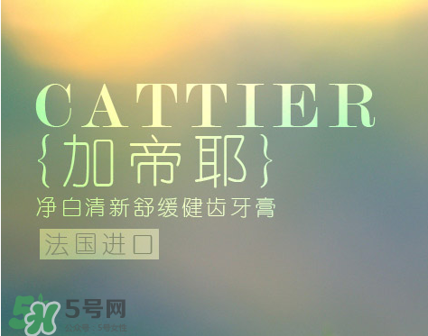 cattier加帝耶是什么牌子？法國cattier什么檔次？