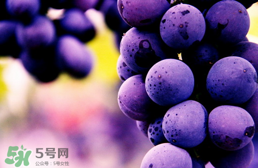 夏黑葡萄多少錢一斤？夏黑葡萄怎么挑選？