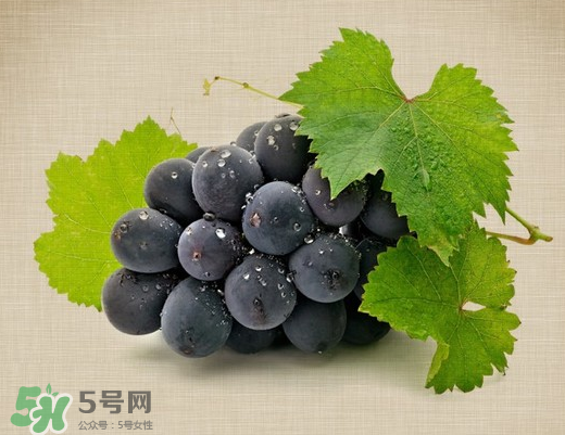 夏黑葡萄多少錢一斤？夏黑葡萄怎么挑選？