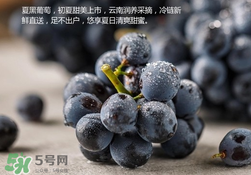 夏黑葡萄皮能吃嗎？夏黑葡萄怎么吃？