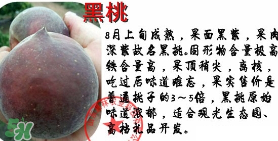 黑桃水果是什么品種？黑桃是酸性還是堿性
