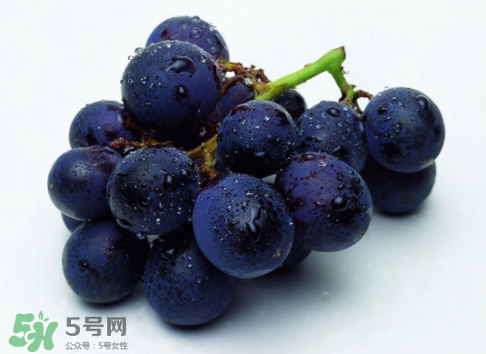 巨峰葡萄和葡萄有什么區(qū)別？巨峰葡萄是轉基因的嗎？