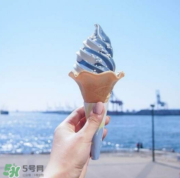 鯨鯊冰淇淋好吃嗎？鯨鯊冰淇淋多少錢？