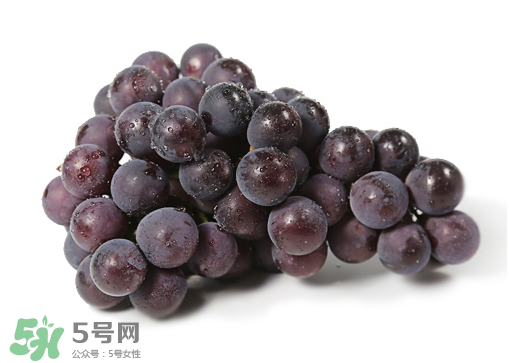 巨峰和夏黑哪個(gè)好吃？哪個(gè)貴？有什么區(qū)別？
