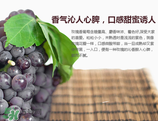 玫瑰香葡萄孕婦能吃嗎？孕婦可以吃玫瑰香葡萄嗎？