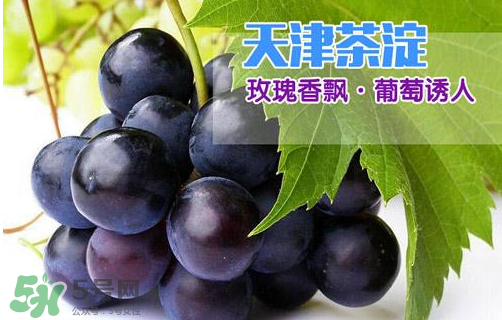 玫瑰香葡萄多少錢一斤？玫瑰香葡萄多少錢一斤2017？