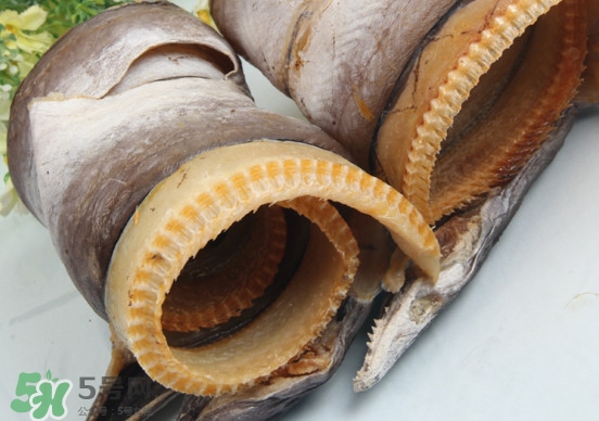 鰻魚干怎么保存最好？鰻魚干如何保存時間久