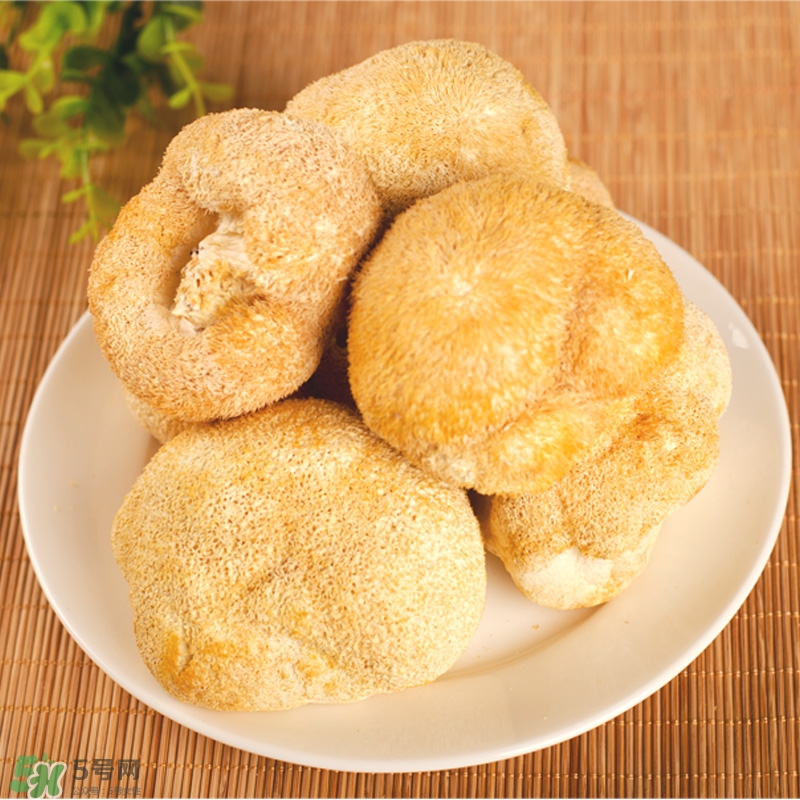 猴頭菇怎樣吃治胃?。亢镱^菇能治胃病嗎？