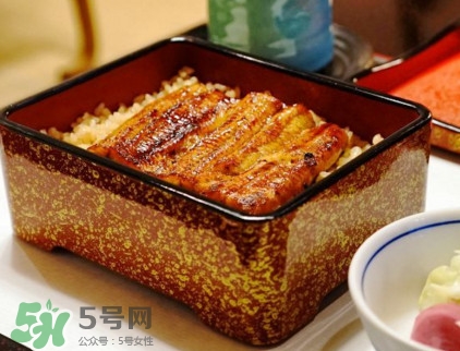 鰻魚飯熱量高嗎？鰻魚飯的熱量有多高