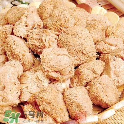 猴頭菇怎樣吃治胃病？猴頭菇能治胃病嗎？