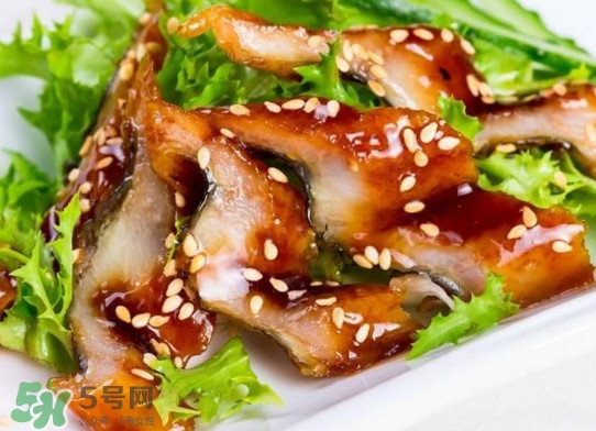 鰻魚是涼性的嗎？鰻魚是寒性食物嗎？