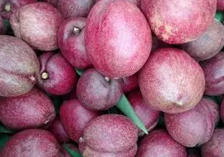 黑桃是什么水果？吃黑桃有什么好處？