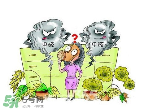 甲醛怎么治理？除甲醛最有效方法
