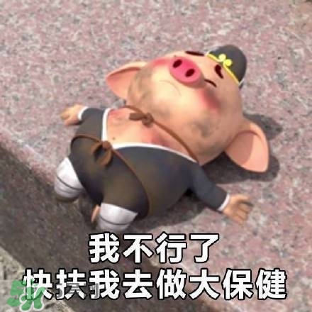 豬小屁表情包是什么？豬小屁表情包為什么這么火？
