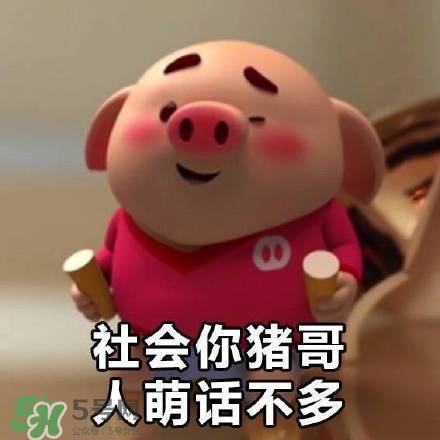 豬小屁表情包是什么？豬小屁表情包為什么這么火？