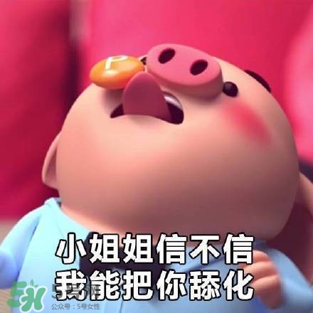 豬小屁表情包是什么？豬小屁表情包為什么這么火？