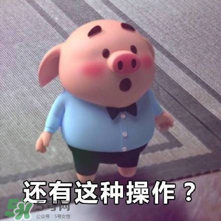 豬小屁表情包是什么？豬小屁表情包為什么這么火？