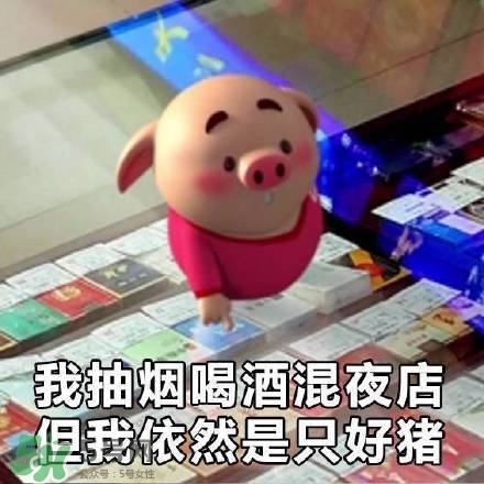 豬小屁表情包是什么？豬小屁表情包為什么這么火？