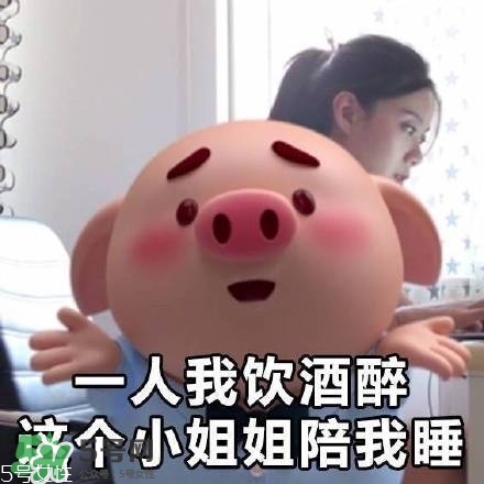 豬小屁多少錢一個(gè)？豬小屁哪里可以買到