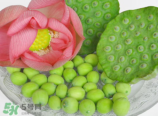 蓮蓬是水果嗎？蓮蓬是水果還是蔬菜？