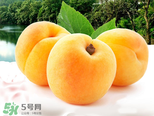 黃桃是酸性還是堿性？黃桃罐頭是酸性還是堿性？