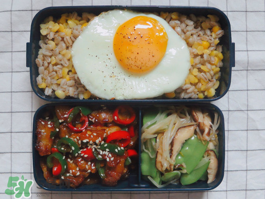 夏天用保溫盒帶飯會壞嗎？夏天能用保溫盒帶飯嗎？