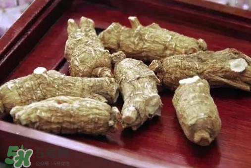 西洋參補腎嗎？西洋參適合什么季節(jié)吃
