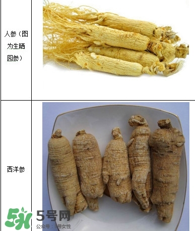 西洋參怎么吃效果最好？西洋參與人參的區(qū)別